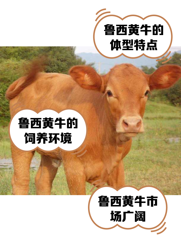 郯城最新医保取现黄牛方法分析(最方便真实的郯城医保取现黄牛怎么取方法)
